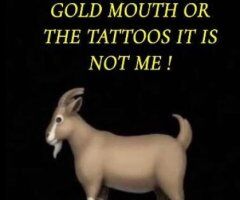 Raleigh-durham escorts - 👅🤪👅🤪👅HEAD HUNTER IS HERE👅🤪👅🤪👅🤪👅NO HANDS👅🤪STR8 MOUTH👅🤪SLOPPY TOP👅🤪DT👅🤪CIM - 36