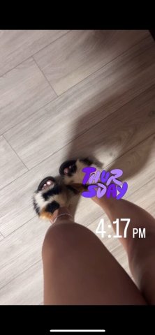 🔥🔥⬇ I’m Available Now⬇🔥🔥LATINA 🔥🔥AMAZING BODY 🥵💋 REAL PICTURES 💯 DEEP THROAT FRIENDLY 👅 - 23 - 1