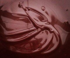 Milwaukee escorts - outcalls & party favors - 20