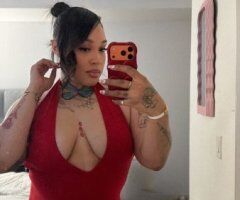 ❤️❤️SAN JOSE SANTA CLARA❤️❤️BOOK NOW - 30 - Image 2