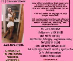 Eastern Shore escorts - let me take care of your morning wood 😩 - 19