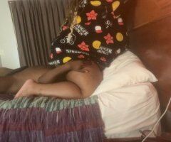 Baltimore escorts - Princess shy ebony bbw incall - 22