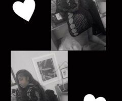 ❣•• ꧁ஜ🌺 𝓕𝓵𝓪𝔀𝓵𝓮𝓼𝓼 𝓑𝓸𝓶𝓫𝓼𝓱𝓮𝓵𝓵 🌺ஜ꧂ - 29 - Image 3