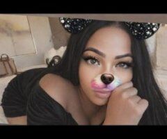 Charlotte escorts - PUSSY FAIRY🧚✨ - 25