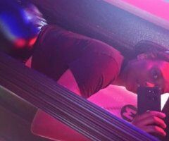 Honeybunz 🍯 - 27 - Image 5