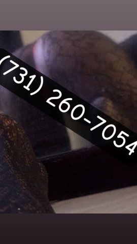 1hr special ☺HC🥂 One of a kind 😘💦😏/Outcall 🚛friendly - 26 - 1