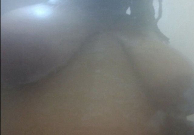 🚘CARPLAY IN YOUR CAR🚗NO FACE VERIFICATION NO SERVICE✅️NOTHING BARE🚫 - 26 - 1