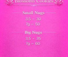Albuquerque escorts - 65 MASSAGE AVAILABLE - 23