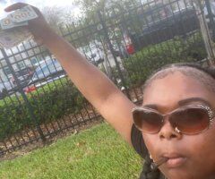 Tampa escorts - exotic must try - 22