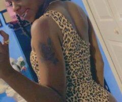Tampa escorts - girl latin sexy - 26