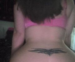 Springfield escorts - expensive, real, and will answer - 27
