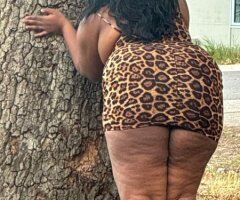 Tucson escorts - Outcalls Outcalls NEW ORLEANS QUEEN💋Trucker - 26