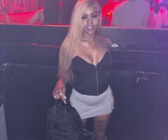 St. Louis escorts - more than just pretty 😋💦 - 23