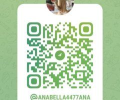 Kansas City escorts - No Law !!! No Games !! Gfe Friendly 👙 Need a Regular Also!! Incall✔Outcall 24/7 - 27