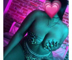 Come see Cinnamon - 27 - Image 3