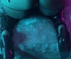 Come see Cinnamon - 27 - Image 6