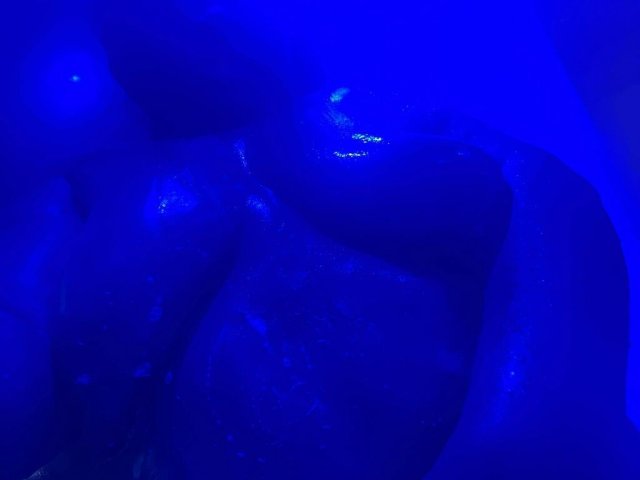 Juiicy K da bbw 💦💦OUTCALLS - 25 - 1
