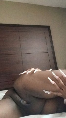 EXOTIC PRESSURE💦🫦😜OUTCALLS ONLY - 25 - 1
