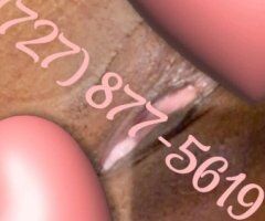 Tampa escorts - hit me up - 24