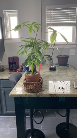 i need help starting my own business from someone experienced - 35 - 1