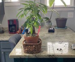 Richmond escorts - i need help starting my own business from someone experienced - 35