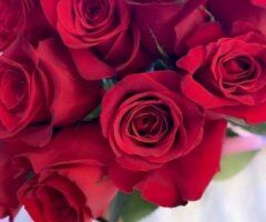 ELITE COMPANION 🌸miss me xo Petite 💦💧Spinner 🎀🍭 - 24 - Image 8