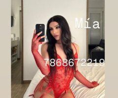 Mia baby sexy 🔥 andover Top - 24 - Image 5