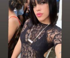 Hudson Valley escorts - Hey baby I arrived new to the city and I’m in a hotel ready - 29