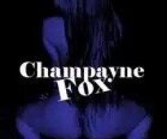 flirty and fun🔥😺 warm and wet throbbing 🐈 - 34 - Image 4