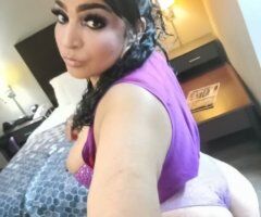 Eastern escorts - NEW IN AREA 📍 GREENVILLE 📍🌋EXPLODE ALL MY FACE🌋💦💦JUST ARRIVED DOMINICAN LATINA💦 SASTIFY EVERY FESTISH 🌶HOT AND WET PUSSY🌶BIG ASS🍑IM THE PERFECT MATCH FOR YOU - 33