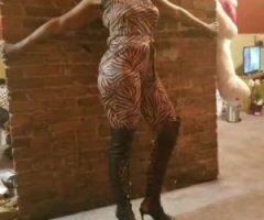 Tampa escorts - Hey gentalmen Beauty is back let me be ur snack! - 35