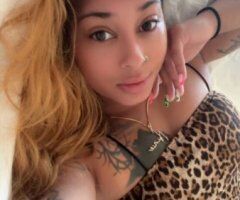 Treasure Coast escorts - 100$ NURU DEAL TODAY ONLY! 80HJ! Treasure Coasts Finest is back ;) VERIFYING A MUST! - 27