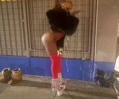 chocolate 🐱 available 25/8 - 20 - Image 5