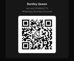Knoxville escorts - Bentley Queen Available For📞Incall/Outcall🚗Carfun👄 - 24