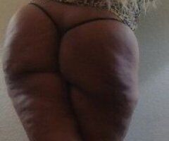 👄👄OLIVEBRANCH👄👄 WEST MEMPHIS 👄👄 HORNLAKE 👄👄 SOUTHAVEN 👄👄 MEMPHIS 👄👄 LAKELAND 👄👄 MILLINGTON 👄👄YES I DO SPEAK ENGLISH AND SPANISH 👄👄 KITTY / GATITA👄👄👄 - 41 - Image 3
