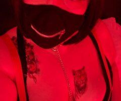 Miami escorts - Miami Flash Sale — Quick Stop Tonight to 10:30pm