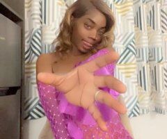 Los Angeles escorts - Incall/Outcall Fun — Nova (Los Angeles, CA) 💦💦💦