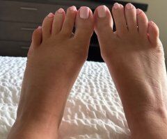 Outcall Only Upscale Playmate — Charlotte 25 - Image 3