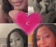 San Diego CA 5 Star In-Call & Out-Call Female Escort — Verified Pics, No Negotiations - Image 2