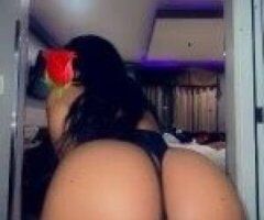 India (24) — Sweet, classy companion in Little Rock, AR - Image 3