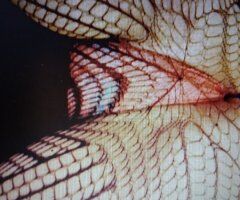 Fort Myers Nuru Specials & 2 Girl Specials - Image 9