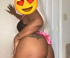 Orlando No Outcalls Escort - Image 3