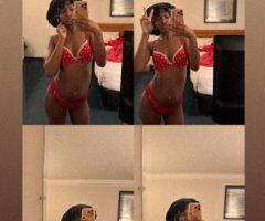 New Orleans Incalls, Cardates & Outcalls — Verified 24/7 - Image 8