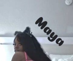 Tampa escorts - Tampa Female Escort — Oral Queen & Non-Rush Sessions