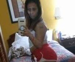 Miami escorts - Miami Female Escort — Sexy Puerto Rican/Nicaraguan Mami