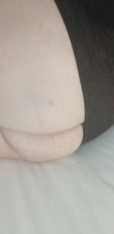 BBW Escort in Atlanta—Specials, Chime/PayPal/Cash - 1