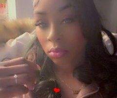Madison escorts - Madison New In Town Female Escort — Thick Build, B-Cup