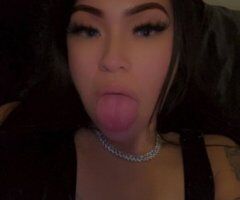 Luna (26) Independent Discreet Female Escort in Dallas, TX - Image 3