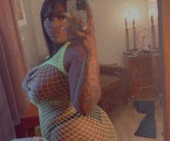 Tampa escorts - Tampa Female Escort — $100 HH Special, Discreet Incall Apt