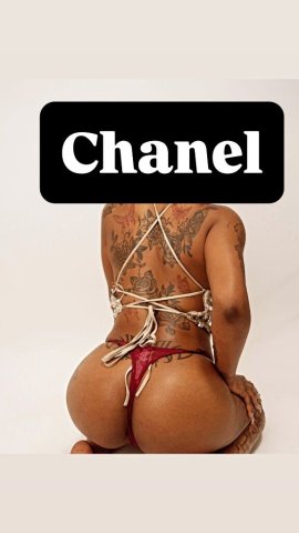 Westchester, NY Female Escort — Text/WhatsApp Booking - 1